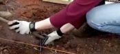 国外怎么搭建PG国际猕猴桃架子