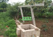 西安市PG国际猕猴桃产业新农人幸福感增强