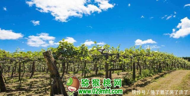 PG国际官方网站图片