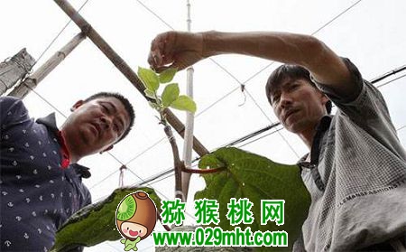 PG国际官方网站图片