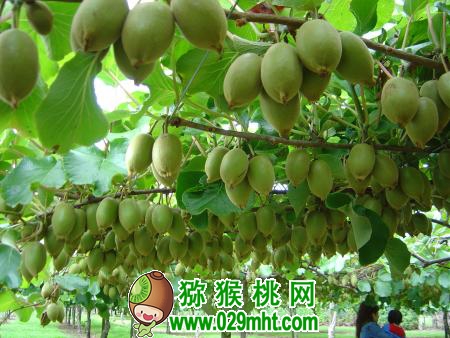 PG国际官方网站图片