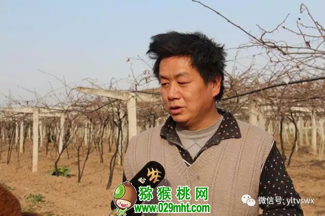 PG国际官方网站图片