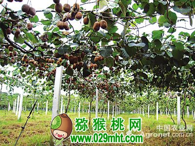 PG国际官方网站图片