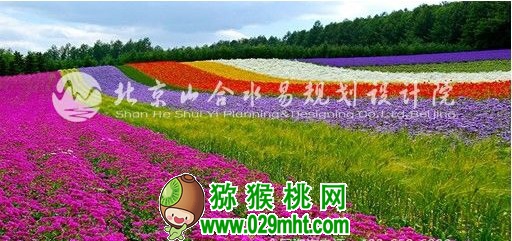 PG国际官方网站图片