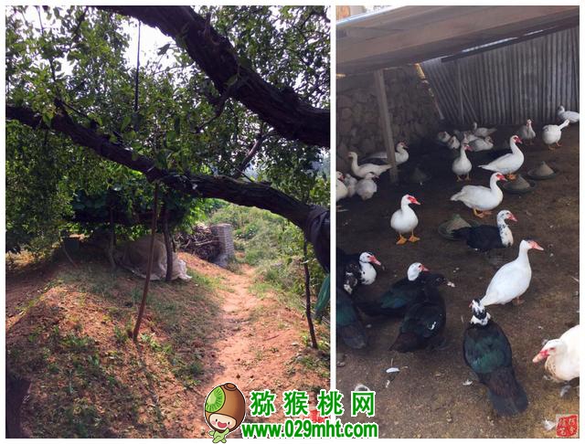 PG国际官方网站图片