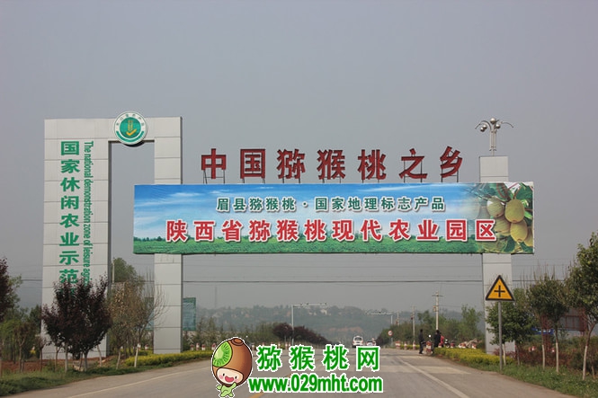 PG国际官方网站图片