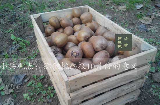10月PG国际猕猴桃h庖的意义
