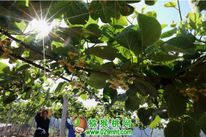 PG国际官方网站图片