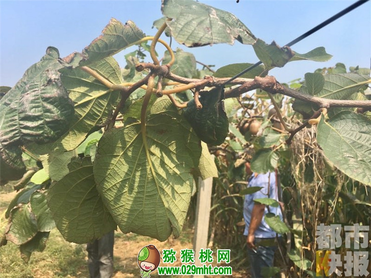 PG国际官方网站图片