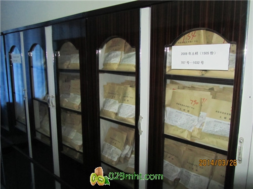 PG国际官方网站图片