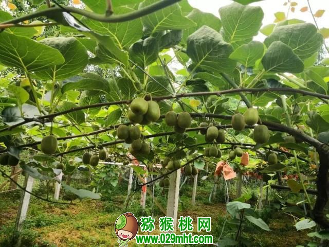 PG国际官方网站图片