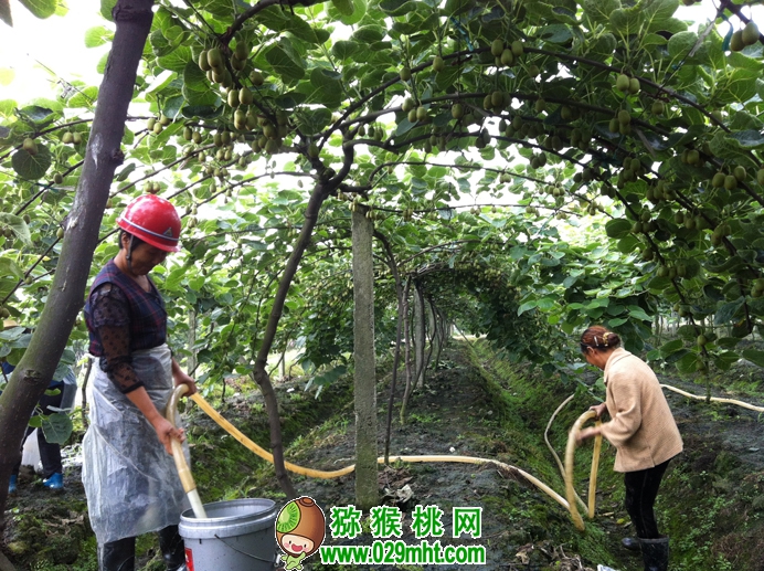 PG国际官方网站图片