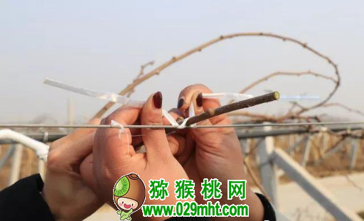 PG国际官方网站图片