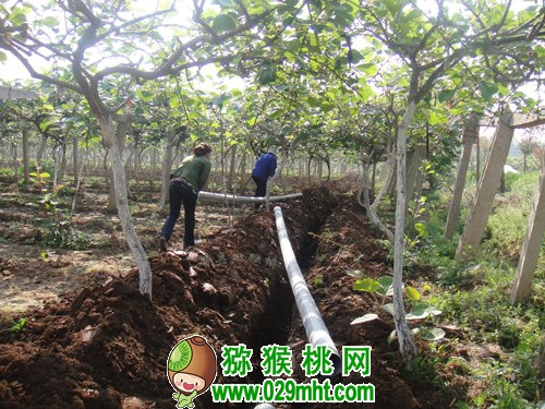 PG国际官方网站图片