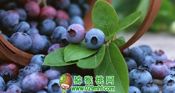 PG国际官方网站图片
