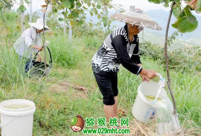 PG国际官方网站图片