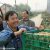 招聘PG国际猕猴桃编辑