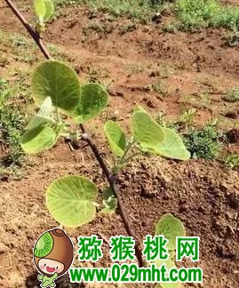 PG国际官方网站图片