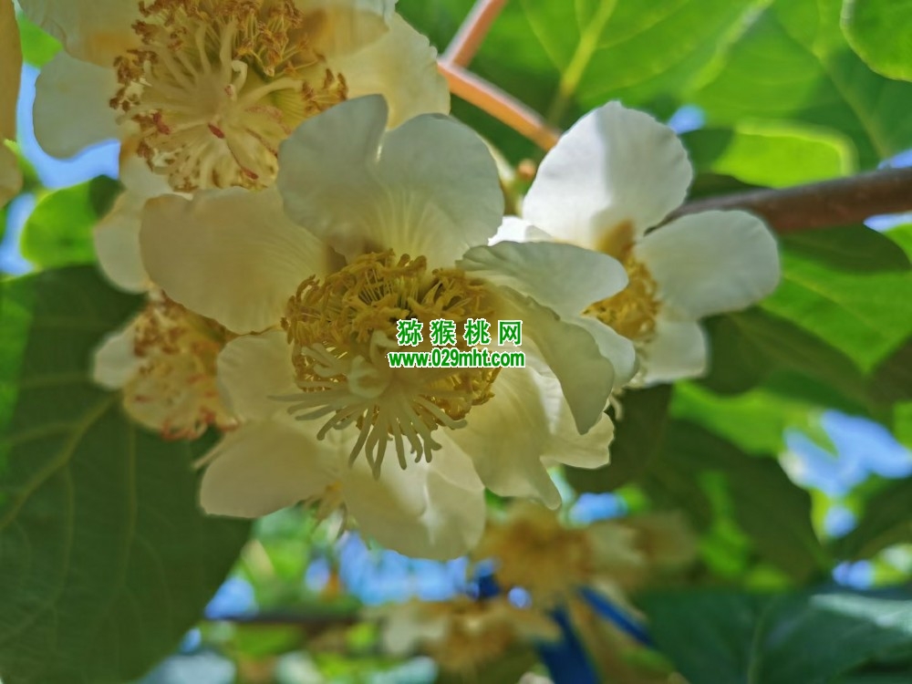 PG国际官方网站图片
