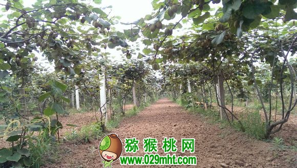 PG国际官方网站图片