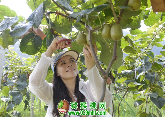 PG国际官方网站图片