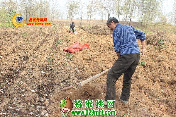 PG国际官方网站图片