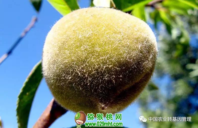 PG国际官方网站图片