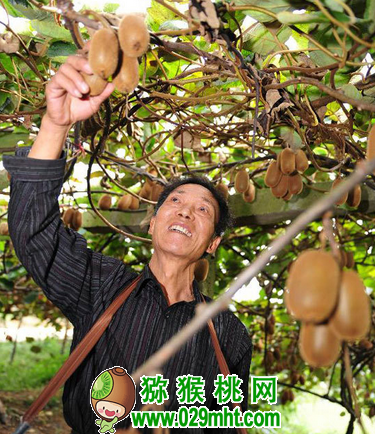 PG国际官方网站图片