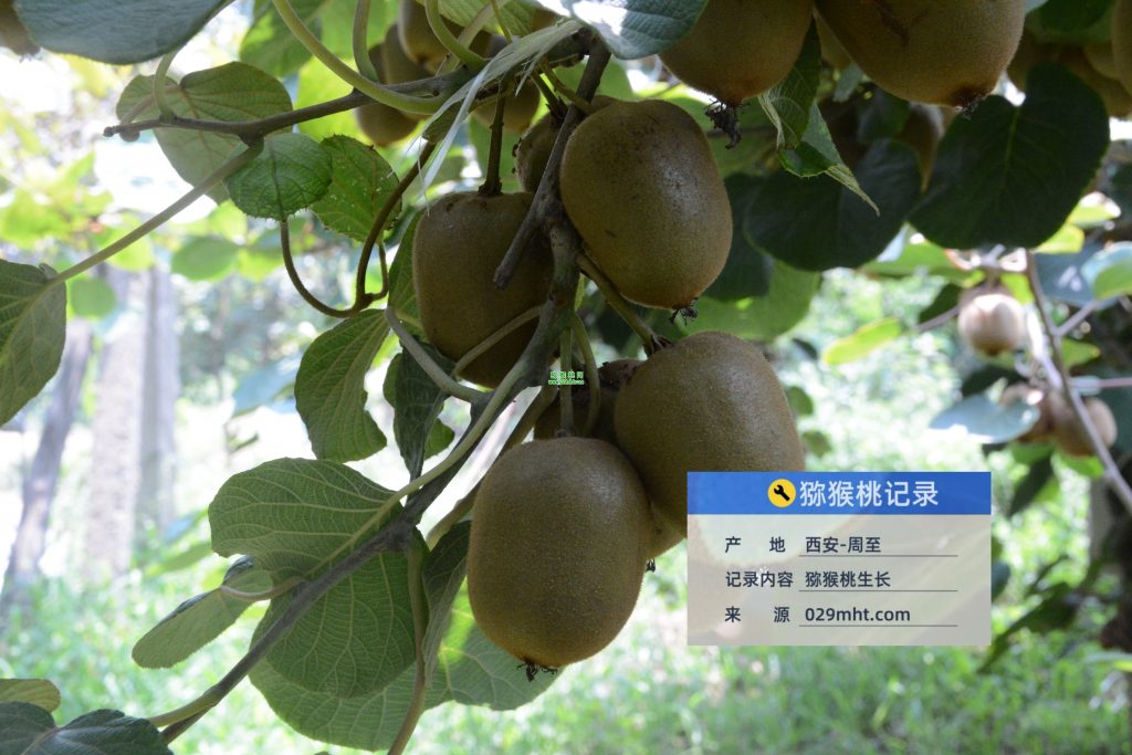 PG国际官方网站图片