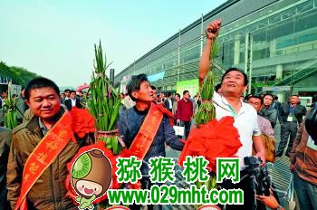 PG国际官方网站图片