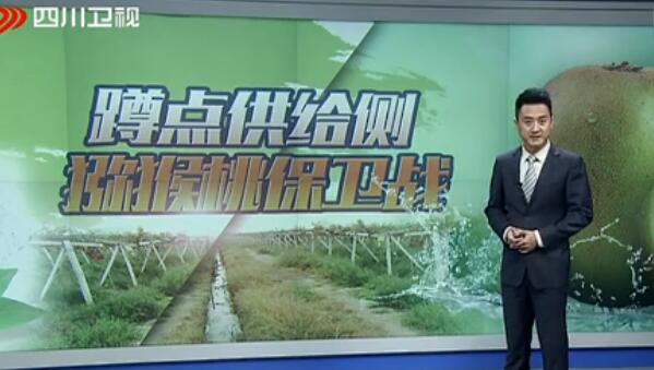 PG国际官方网站图片