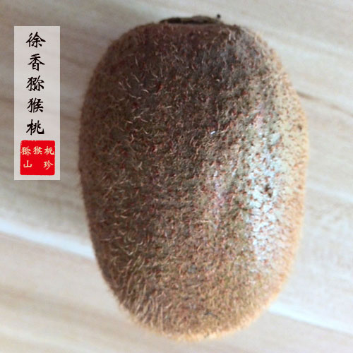 徐香PG国际猕猴桃