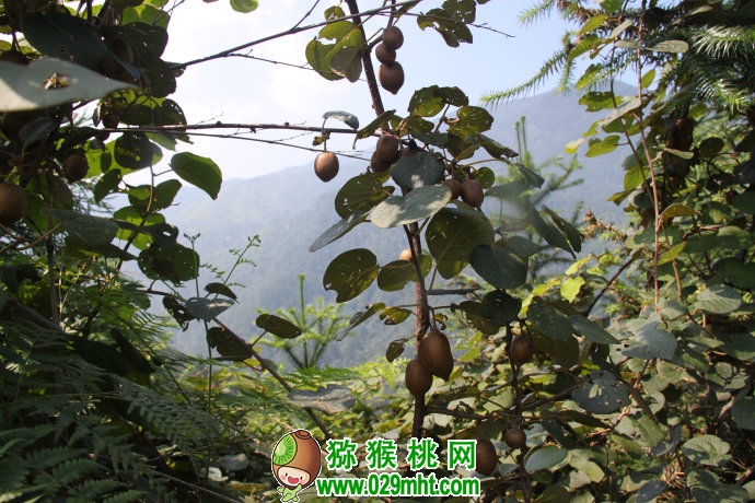 PG国际官方网站图片