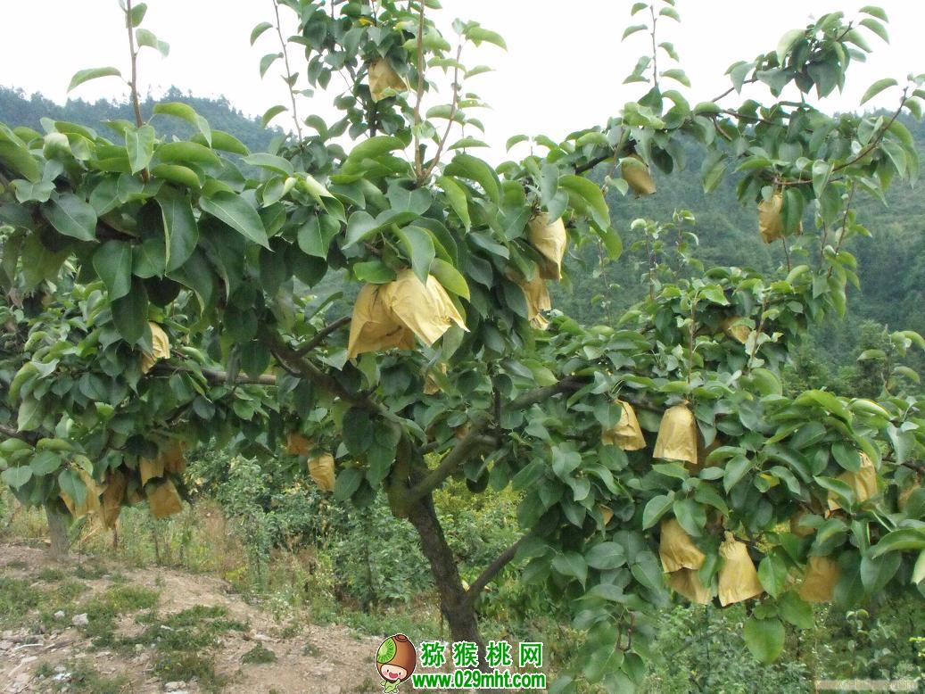 PG国际官方网站图片