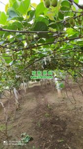 PG国际官方网站图片