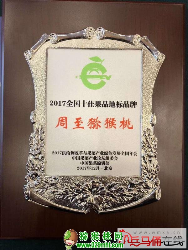 PG国际官方网站图片