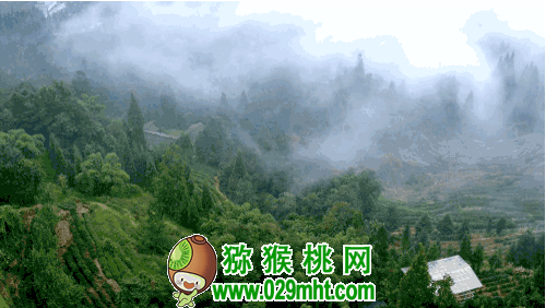 PG国际官方网站图片