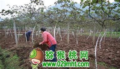 PG国际官方网站图片