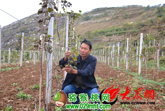 PG国际官方网站图片