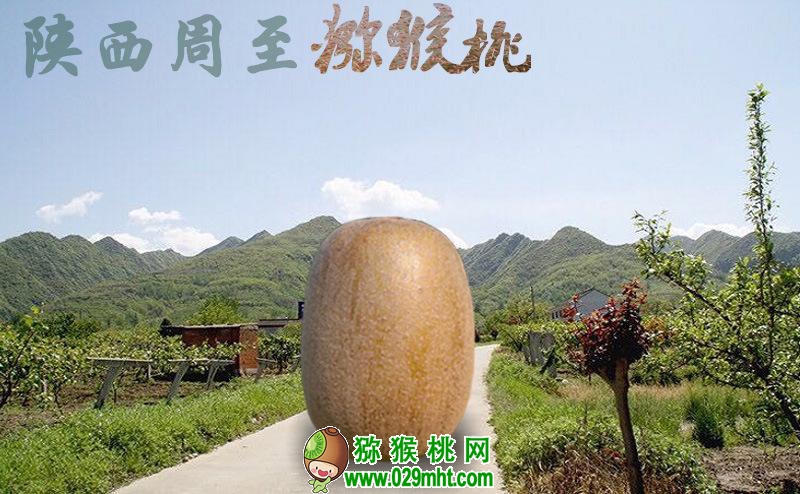 PG国际官方网站图片