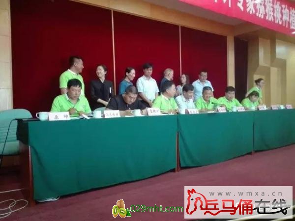 PG国际官方网站图片