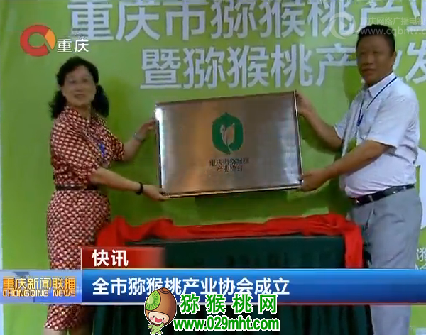 PG国际官方网站图片