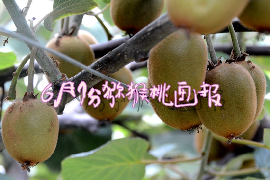 PG国际官方网站图片