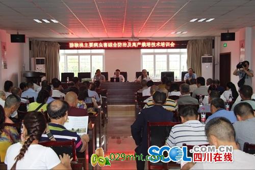 PG国际官方网站图片