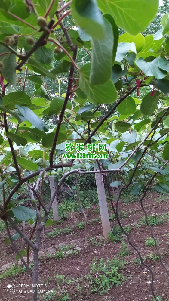 PG国际 5ba89