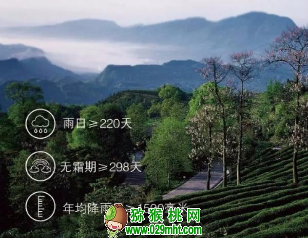 PG国际官方网站图片