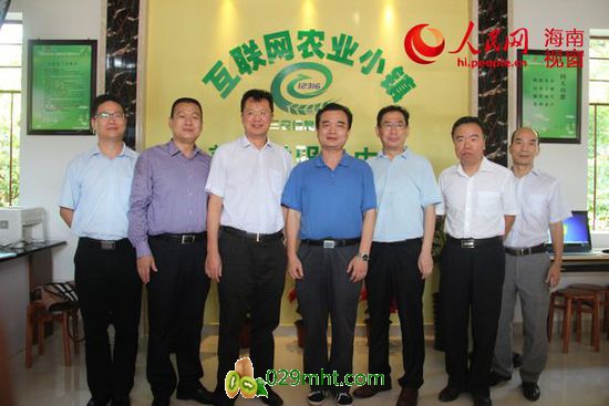 海南首个互联网农业小镇运营中心美社村挂牌