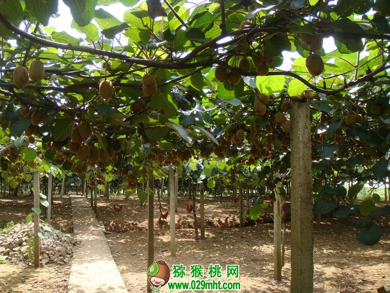 PG国际官方网站图片