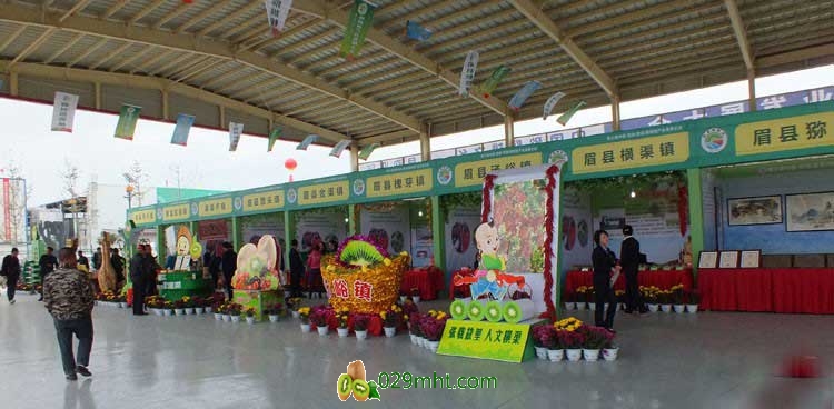 第三届中国·陕西(眉县)PG国际猕猴桃产业发展大会现场