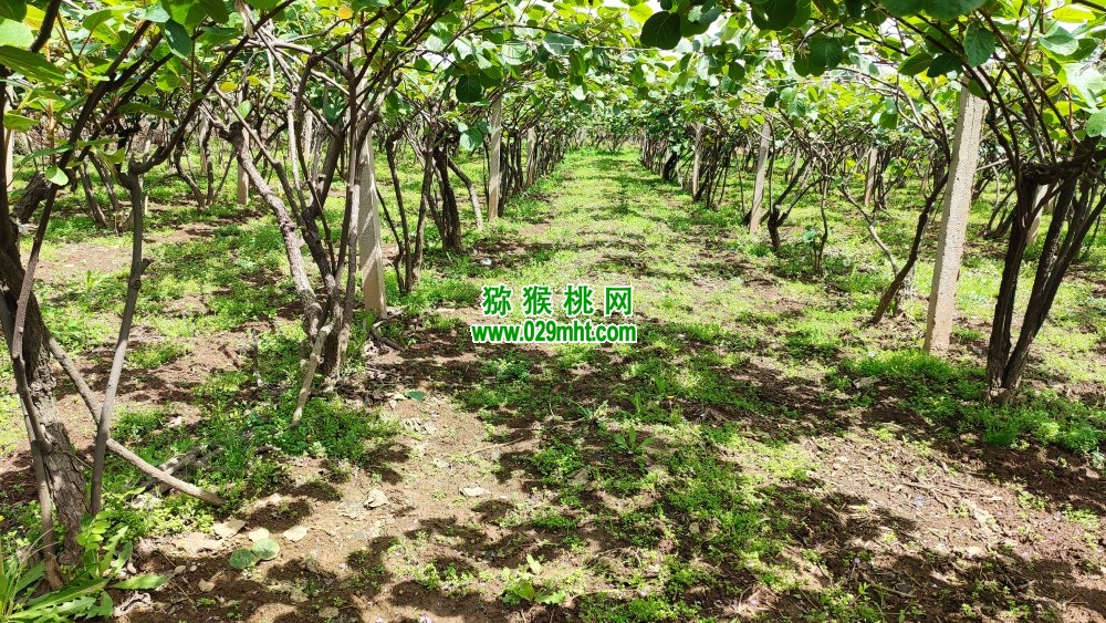 PG国际 341d3
